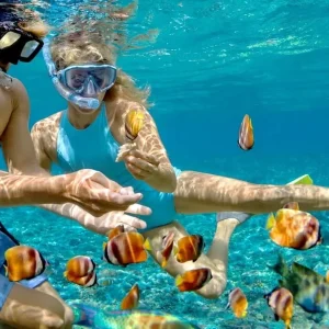 Dolphin House Snorkeling Tour