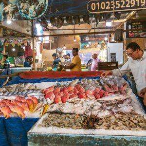 Individual City Tour Hurghada