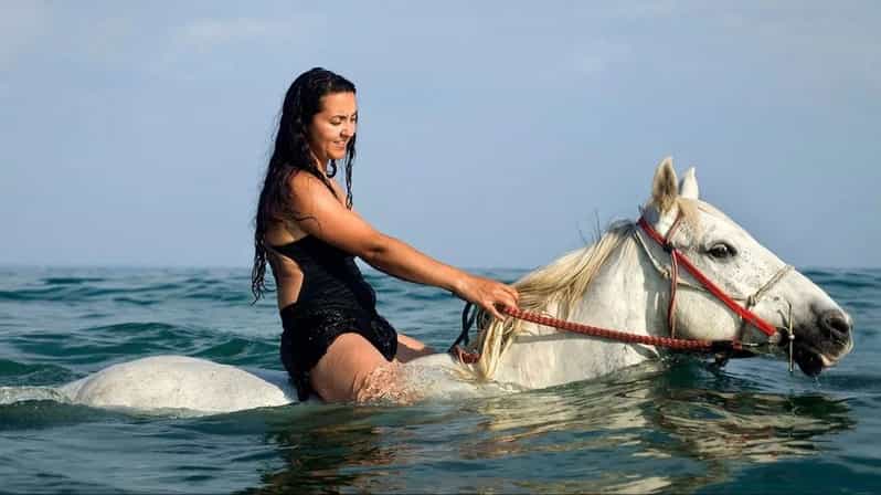 Horse Riding