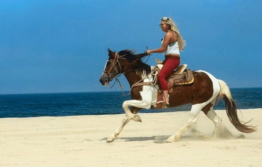 ATV Bike & Horse Riding