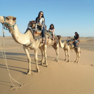 Super Safari Tour Hurghada