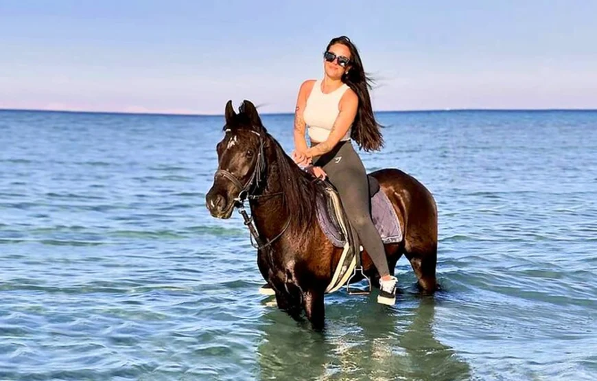 ATV Bike & Horse Riding
