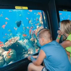Hurghada Submarine Tour 