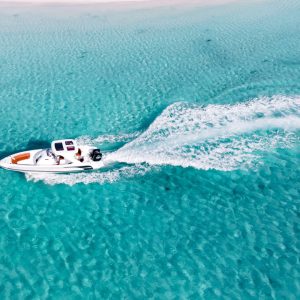 Individual Speed Boat Half Day