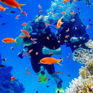 Scuba Diving VIP
