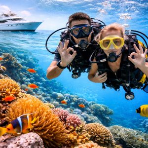 Dolphin House & Diving VIP