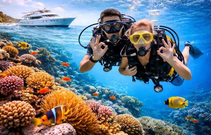 Dolphin House & Diving VIP