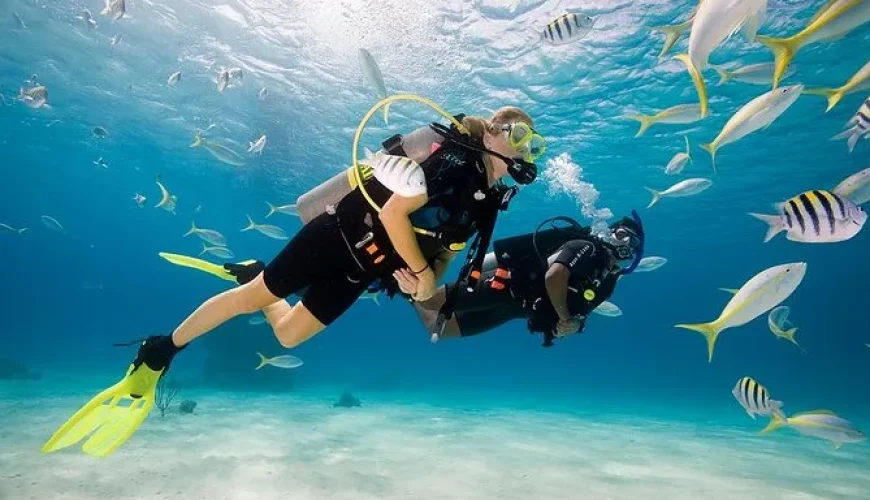 Diving Hurghada   