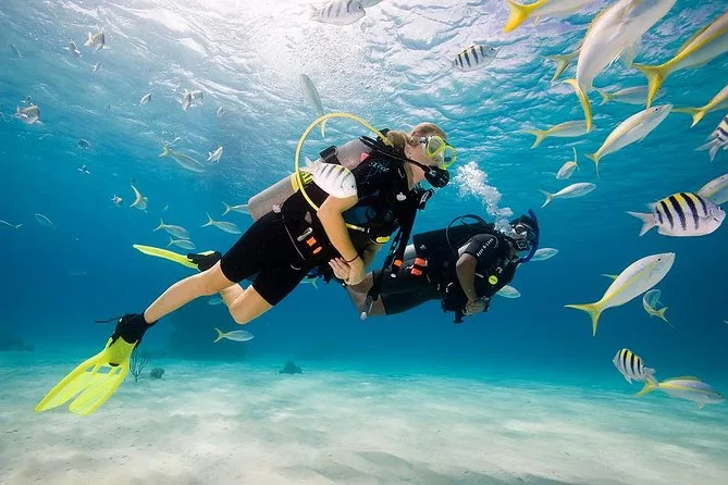 Diving Hurghada   