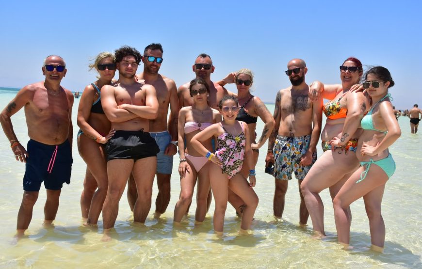 Dolphin House & Diving VIP