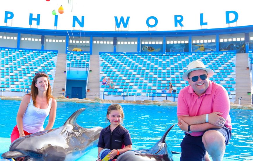 Dolphin Show & Mini Egypt