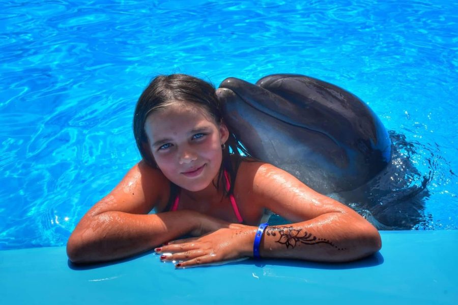 Dolphin Show & Mini Egypt