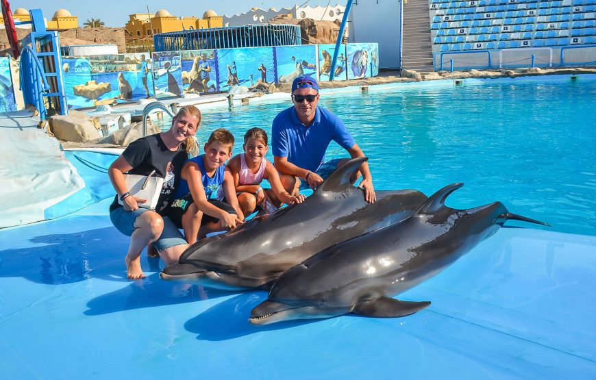 Dolphin Show & Mini Egypt
