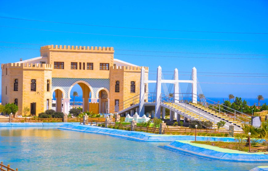 Dolphin Show & Mini Egypt