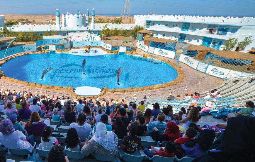 Dolphin Show & Mini Egypt