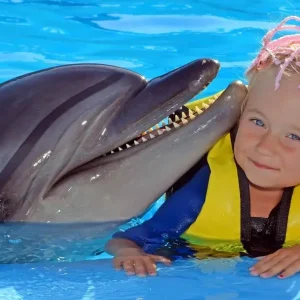 VIP Tour Dolphin Show & Mini Egypt