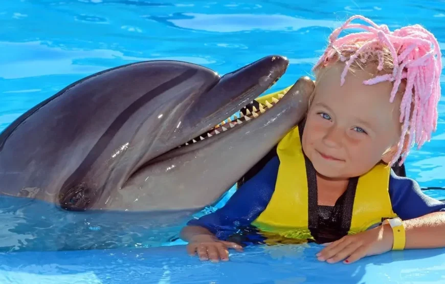 Dolphin Show & Mini Egypt