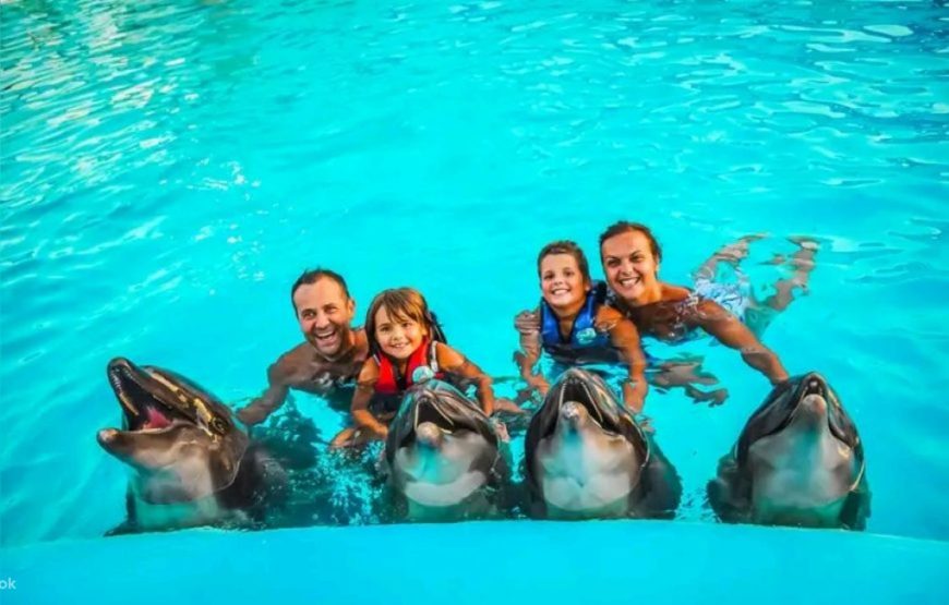 Dolphin Show & Mini Egypt