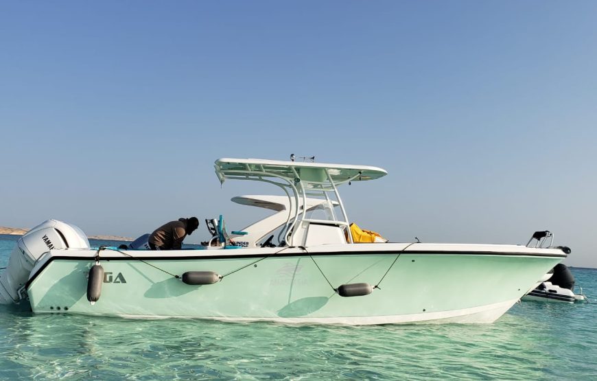 Individual Speed Fun Boat