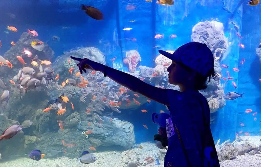 Hurghada Grand Aquarium VIP Tour