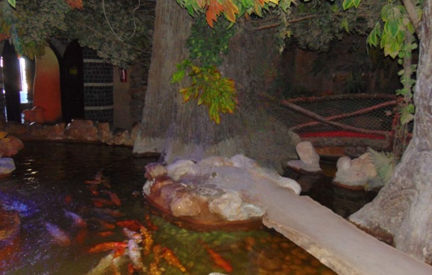 Hurghada Grand Aquarium VIP Tour