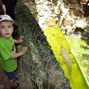 Hurghada Grand Aquarium VIP Tour