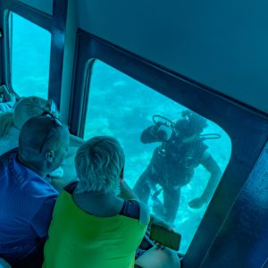 Spectra Submarine Glass Boat