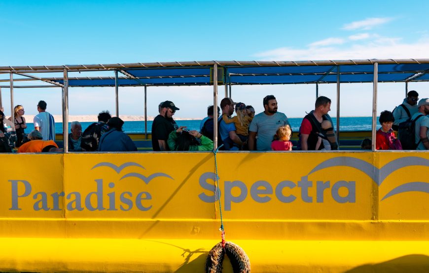 Spectra Submarine Glass Boat
