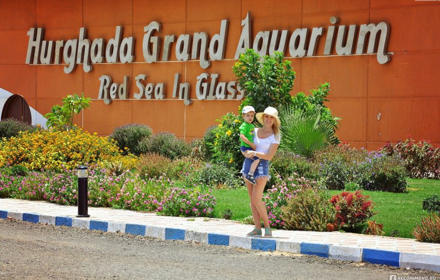 Hurghada Grand Aquarium VIP Tour