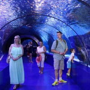 Hurghada Grand Aquarium VIP Tour