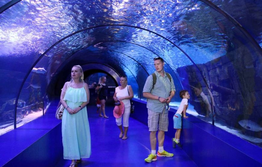 Hurghada Grand Aquarium VIP Tour