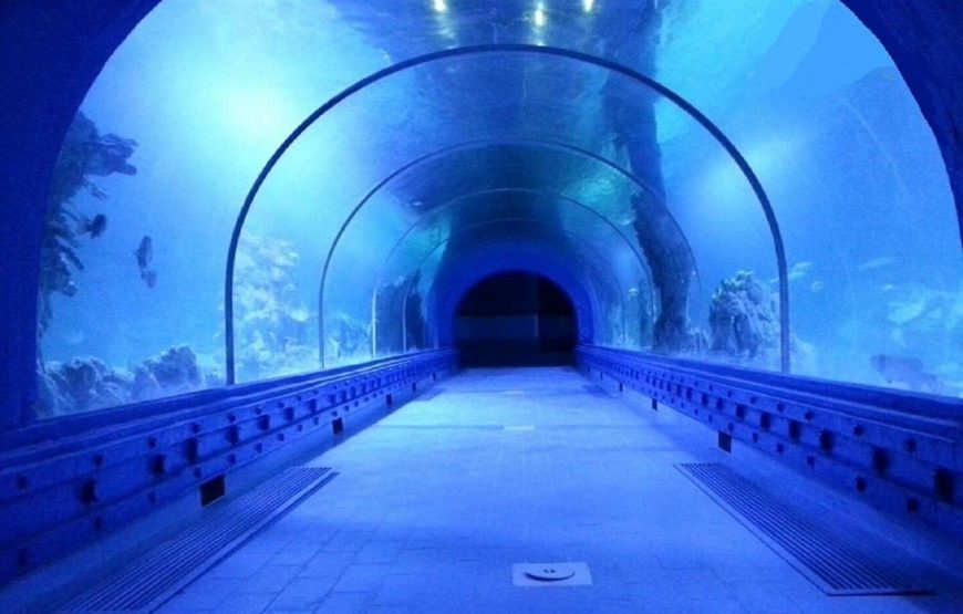 Hurghada Grand Aquarium VIP Tour